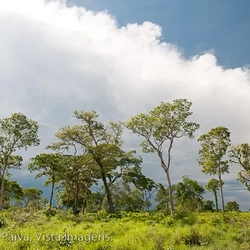 parque-estadual-de-cantao